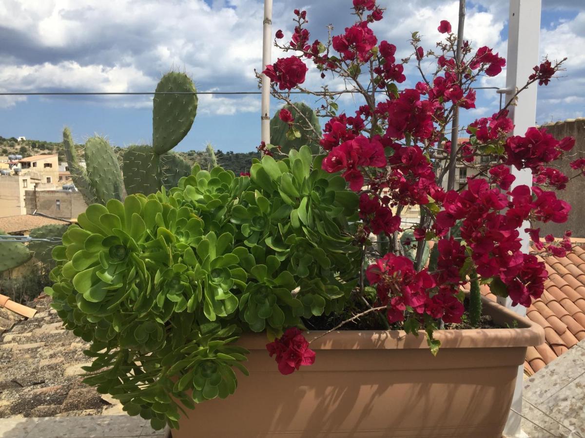 At First Sight Apartment Noto